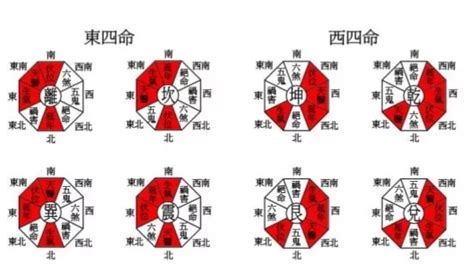 四巽命|八宅風水講解：什么是東四命與西四命？